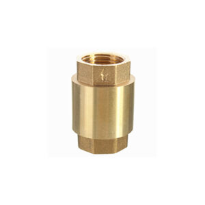 Non-return Check Valve (Spring Loaded) Brass