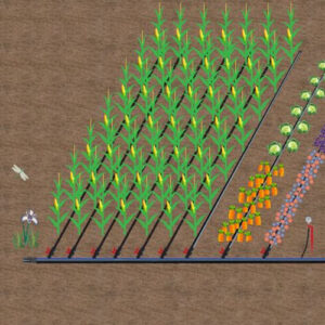 Complete 1" Drip Line Irrigation Kit (250' Main Line, 3,000' Drip Line)