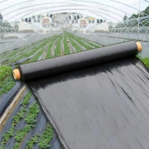 Plastic Mulch Film, Silver/Black, 4' X 1,312' (1.2m x 400m) 30 microns, with holes @457mm